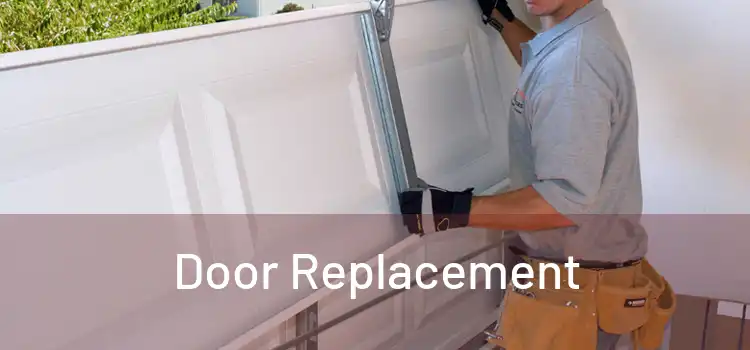  Door Replacement 