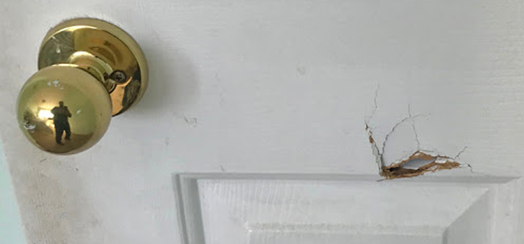 interior door hole repair Foothill Farms