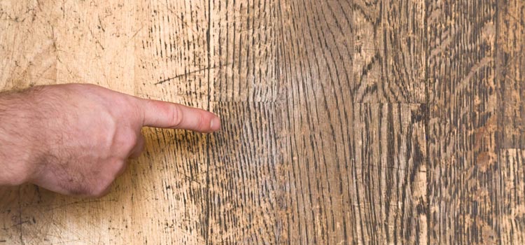 Wood Door Scratch Repair in Foothill Farms
